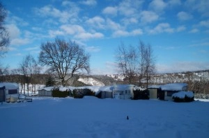 zobacz camping - zdjęcie 3