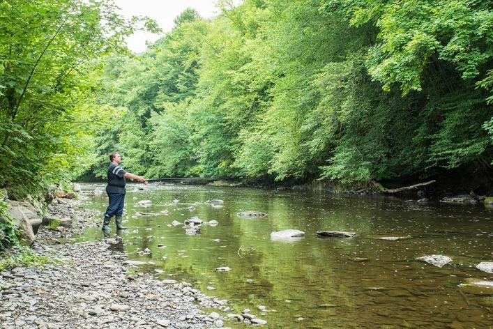 zobacz camping - zdjęcie 13
