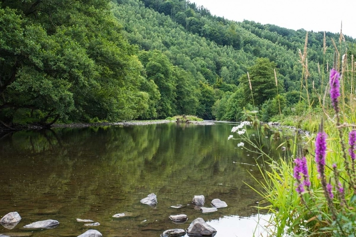 zobacz camping - zdjęcie 1