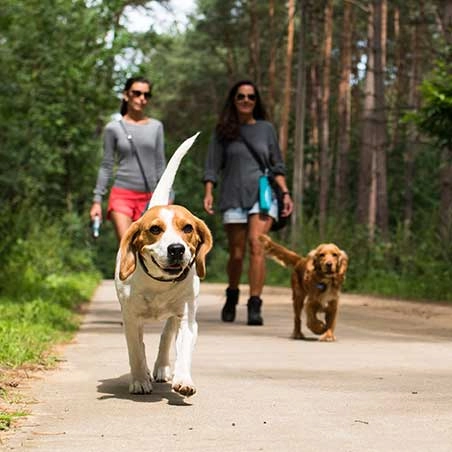 zobacz camping - zdjęcie 12