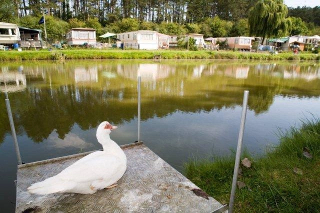 zobacz camping - zdjęcie 10