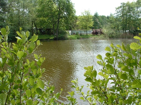 zobacz camping - zdjęcie 9