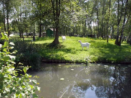 zobacz camping - zdjęcie 18