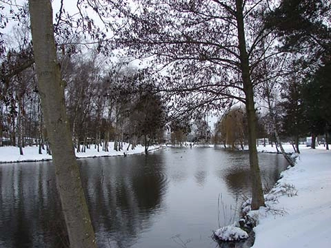 zobacz camping - zdjęcie 16