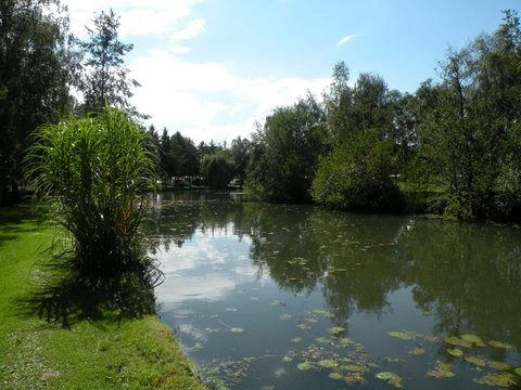 zobacz camping - zdjęcie 11