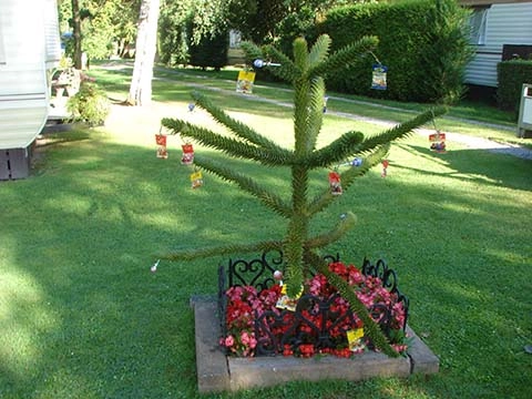 zobacz camping - zdjęcie 8