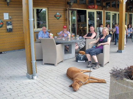 Camping Geerensheide - zdjęcie 1