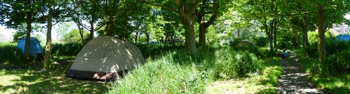 Camping Greenpark - zdjęcie 3