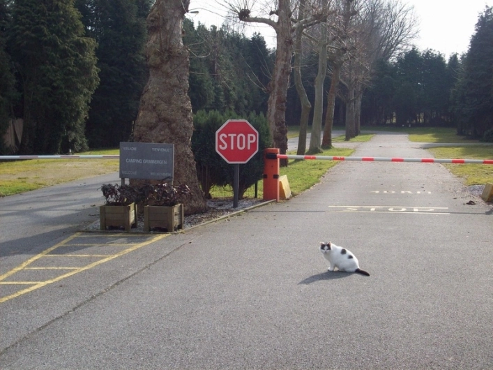 zobacz camping - zdjęcie 8