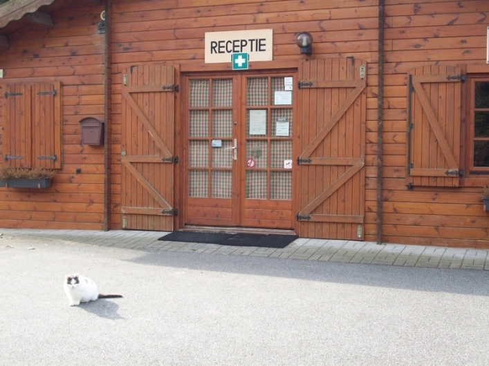 Camping Grimbergen - zdjęcie 4