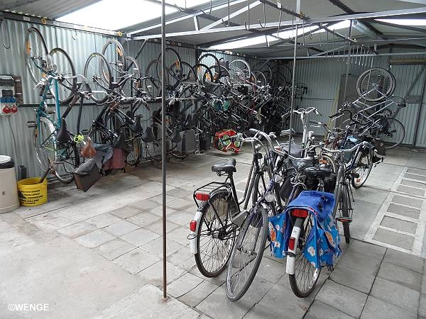 zobacz camping - zdjęcie 8