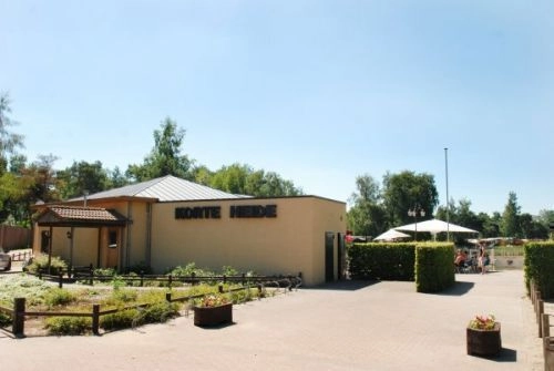 zobacz camping - zdjęcie 20