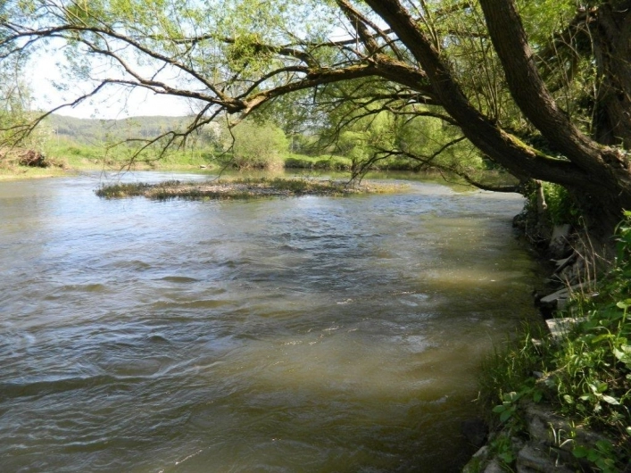 Camping La Romagne - zdjęcie 1