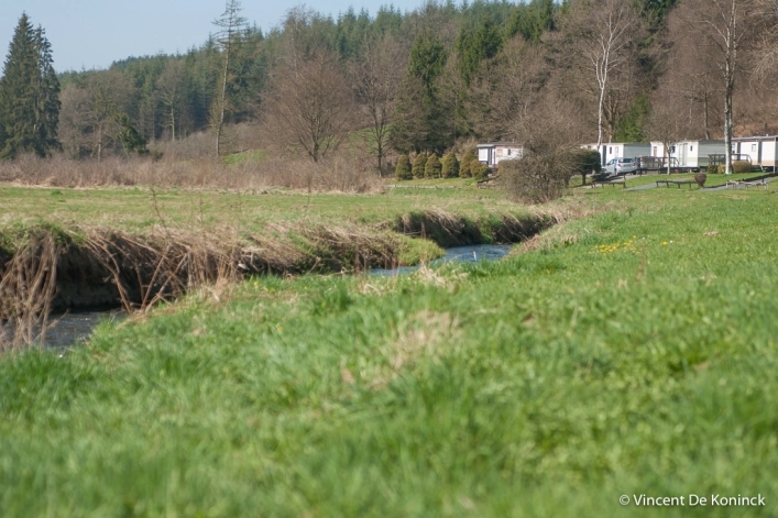 zobacz camping - zdjęcie 7
