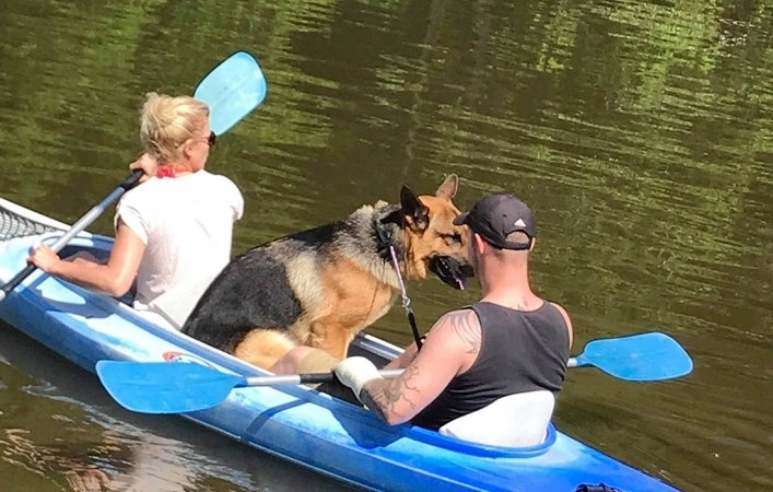 Camping L'ami Pierre - zdjęcie 3