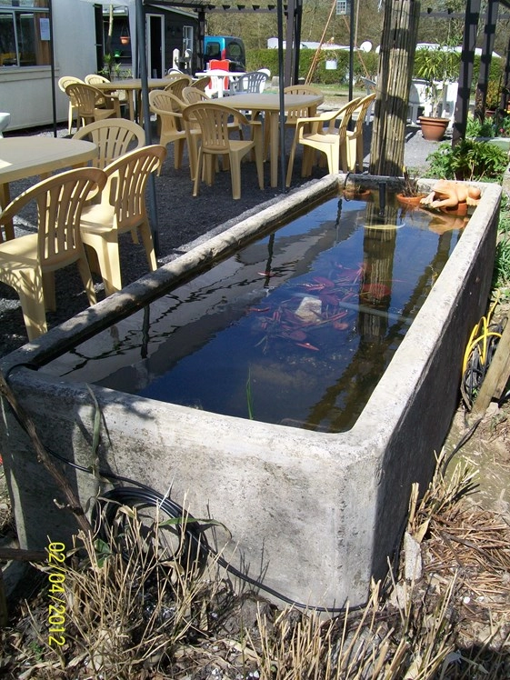 zobacz camping - zdjęcie 7