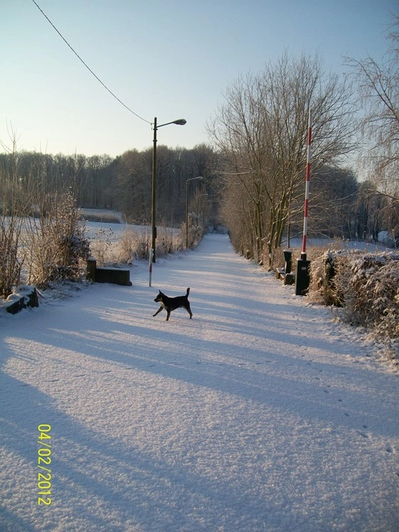 Camping Le Chesle - zdjęcie 3