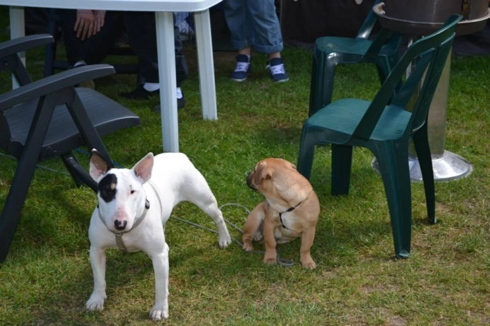 zobacz camping - zdjęcie 9