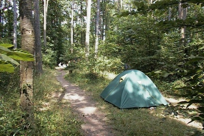 Camping Le Roptai - zdjęcie 4