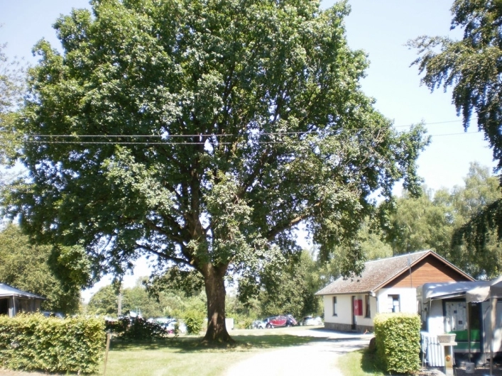 zobacz camping - zdjęcie 19