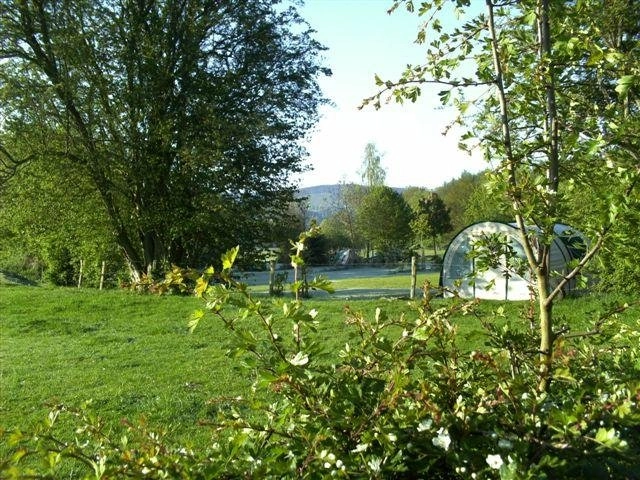 zobacz camping - zdjęcie 16