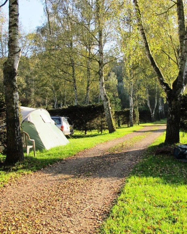 zobacz camping - zdjęcie 9