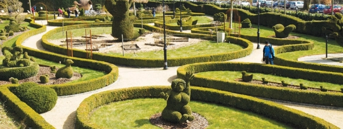 zobacz camping - zdjęcie 7