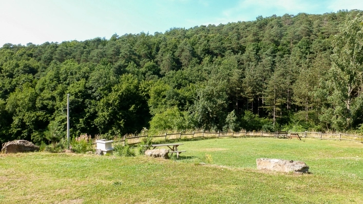 zobacz camping - zdjęcie 15