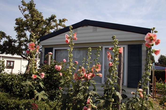 zobacz camping - zdjęcie 11