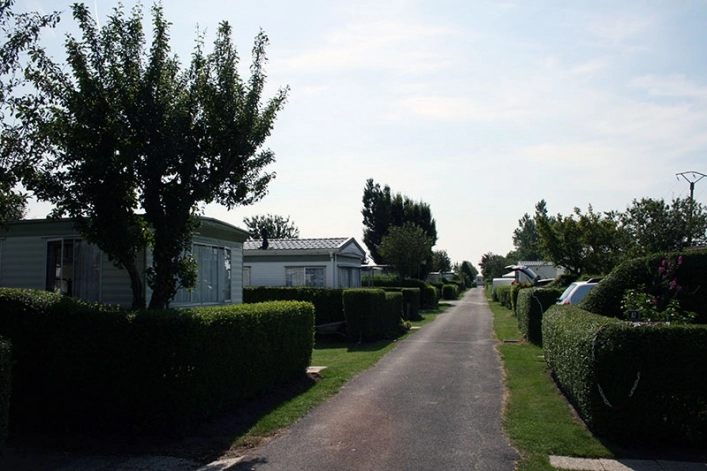 zobacz camping - zdjęcie 9