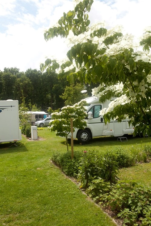 zobacz camping - zdjęcie 14