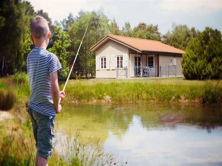 zobacz camping - zdjęcie 11