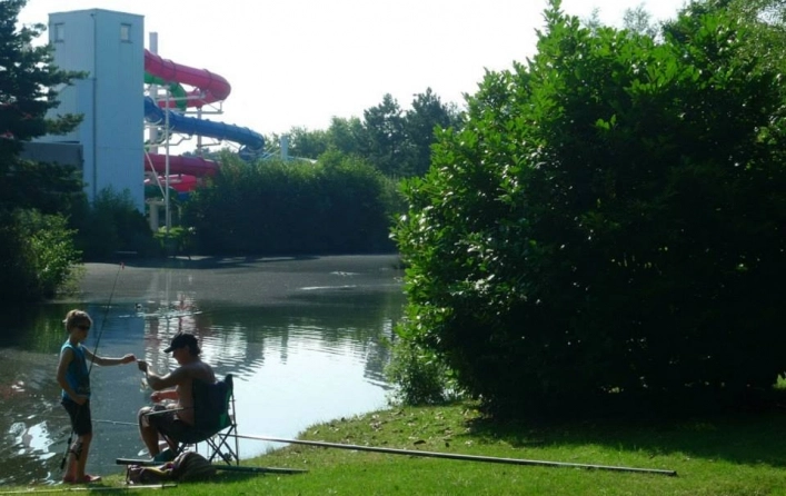 zobacz camping - zdjęcie 10