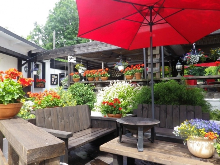 zobacz camping - zdjęcie 12