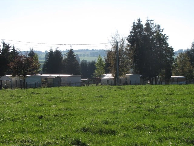 Camping Oos Heem - zdjęcie 2