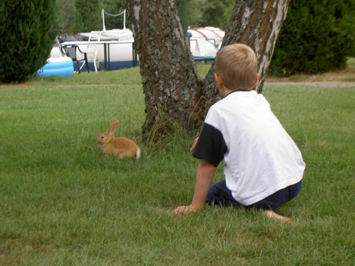 zobacz camping - zdjęcie 25