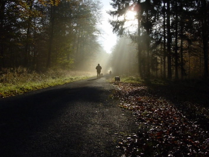 zobacz camping - zdjęcie 20