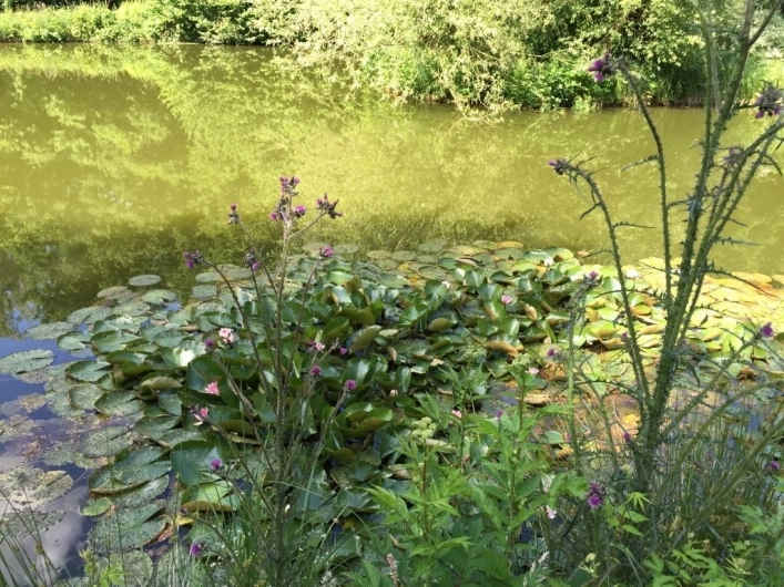 zobacz camping - zdjęcie 19