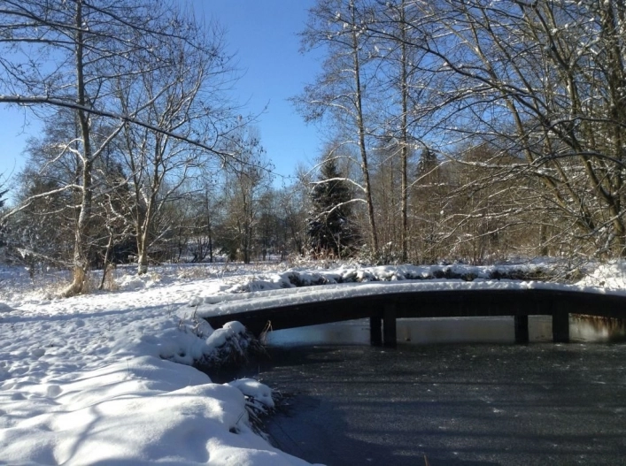 zobacz camping - zdjęcie 17