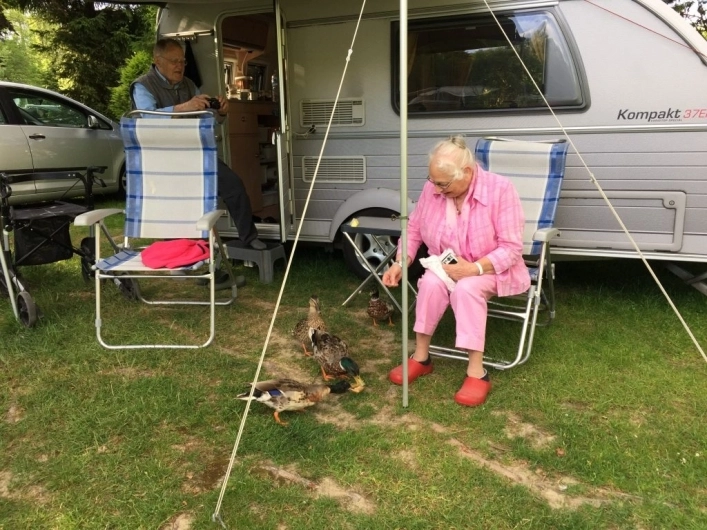 Camping Spineuse Neufchâteau - zdjęcie 4