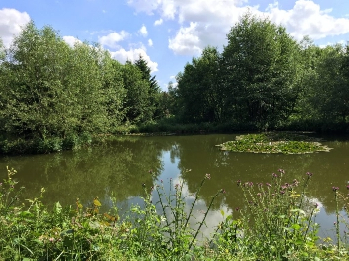 Camping Spineuse Neufchâteau - zdjęcie 2