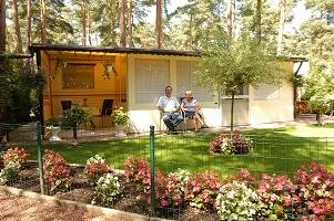 zobacz camping - zdjęcie 6