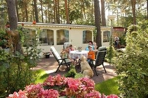 Camping 't Rietveld - zdjęcie 3