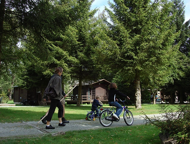 zobacz camping - zdjęcie 4