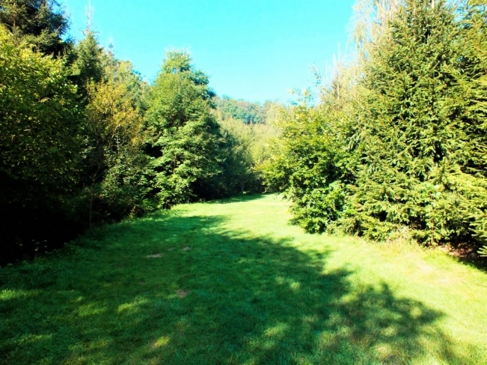 zobacz camping - zdjęcie 6