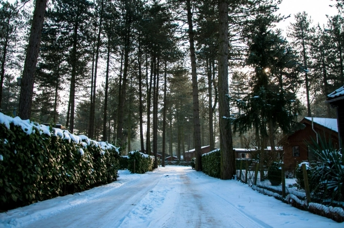 zobacz camping - zdjęcie 21