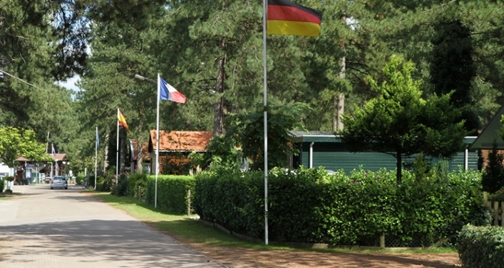 zobacz camping - zdjęcie 13