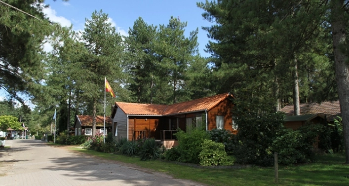 zobacz camping - zdjęcie 12