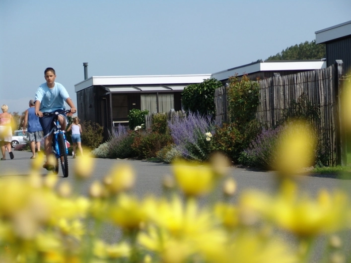 zobacz camping - zdjęcie 17