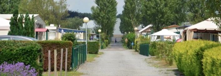 Camping Vlasaard - zdjęcie 1